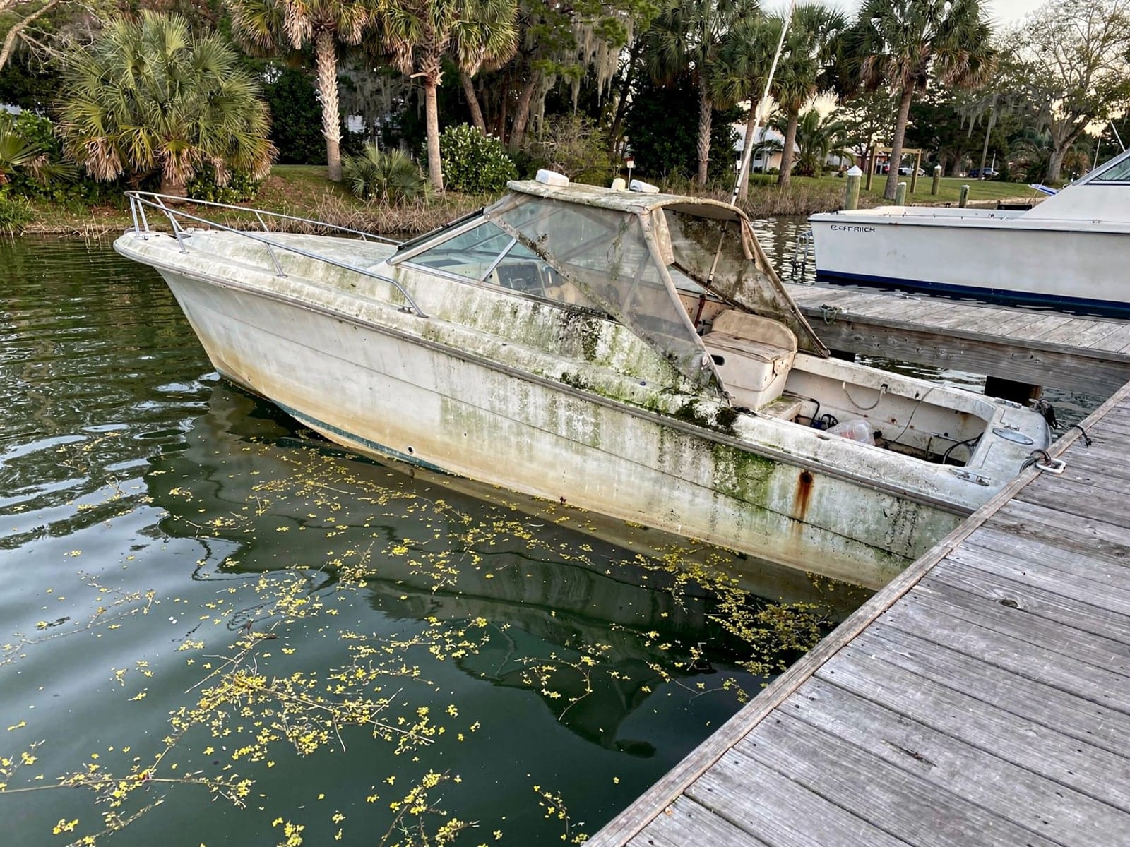 Sunken boat recovery in Alachua, FL: before Sunken 28 ft Bertram 28 at a lake dock in Alachua, FL