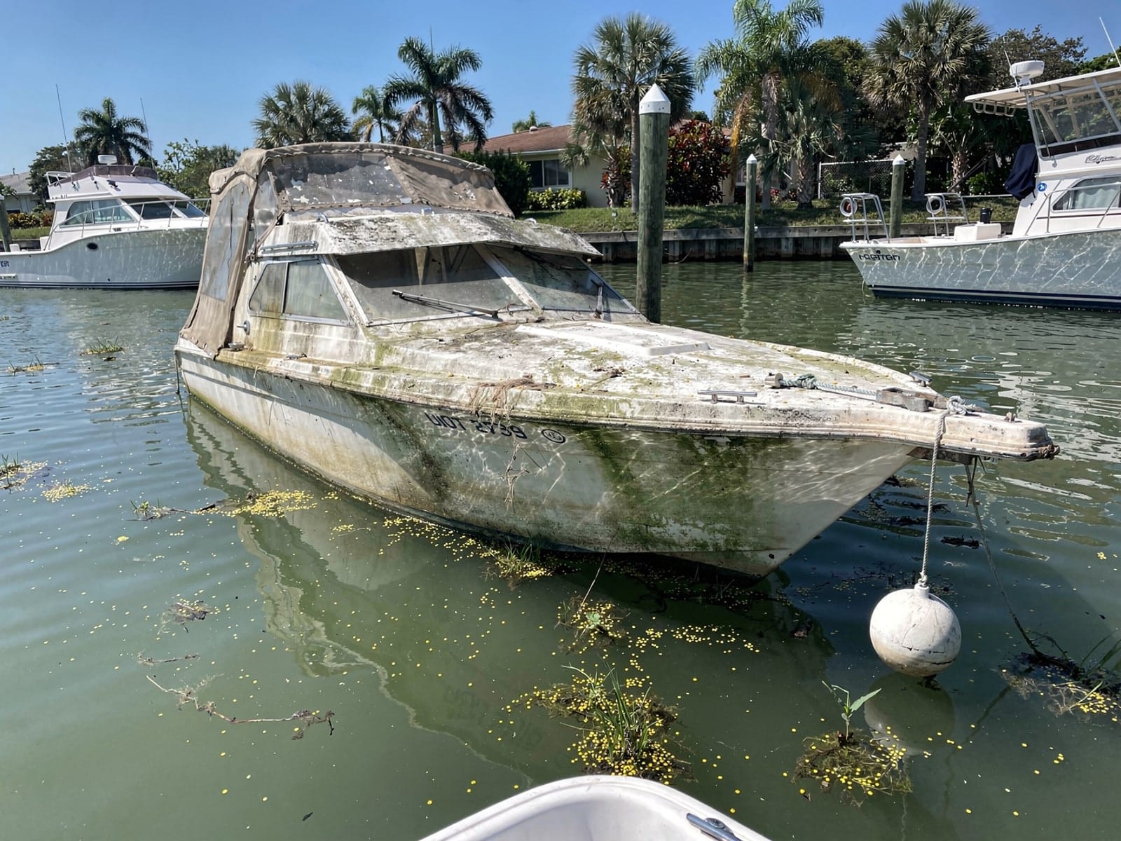 Sunken boat recovery in Hudson, FL: before Sunken 28 ft Carver 28 at its mooring in Hudson, FL