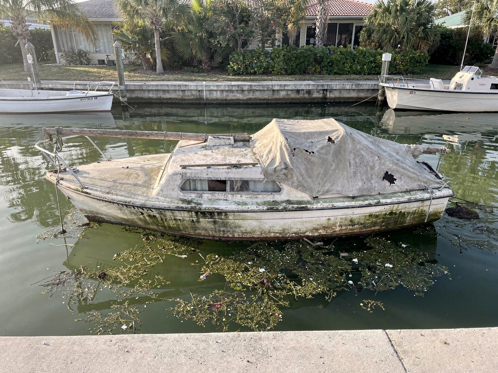 Sunken boat recovery in Daytona Beach, FL: before Sunken 22 ft Catalina 22 in a canal by the seawall in Daytona Beach, FL