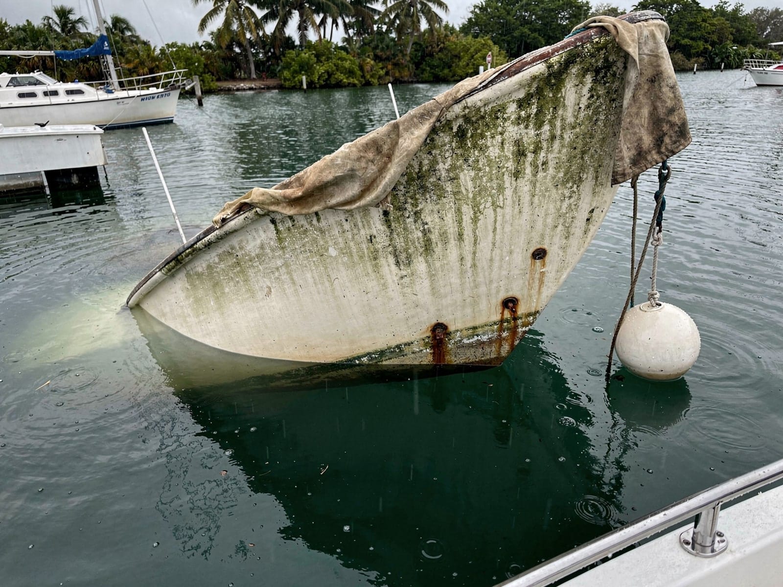 Sunken boat recovery in Egypt Lake Leto, FL: before Sunken 25 ft O'Day 25 at its mooring in Egypt Lake Leto, FL