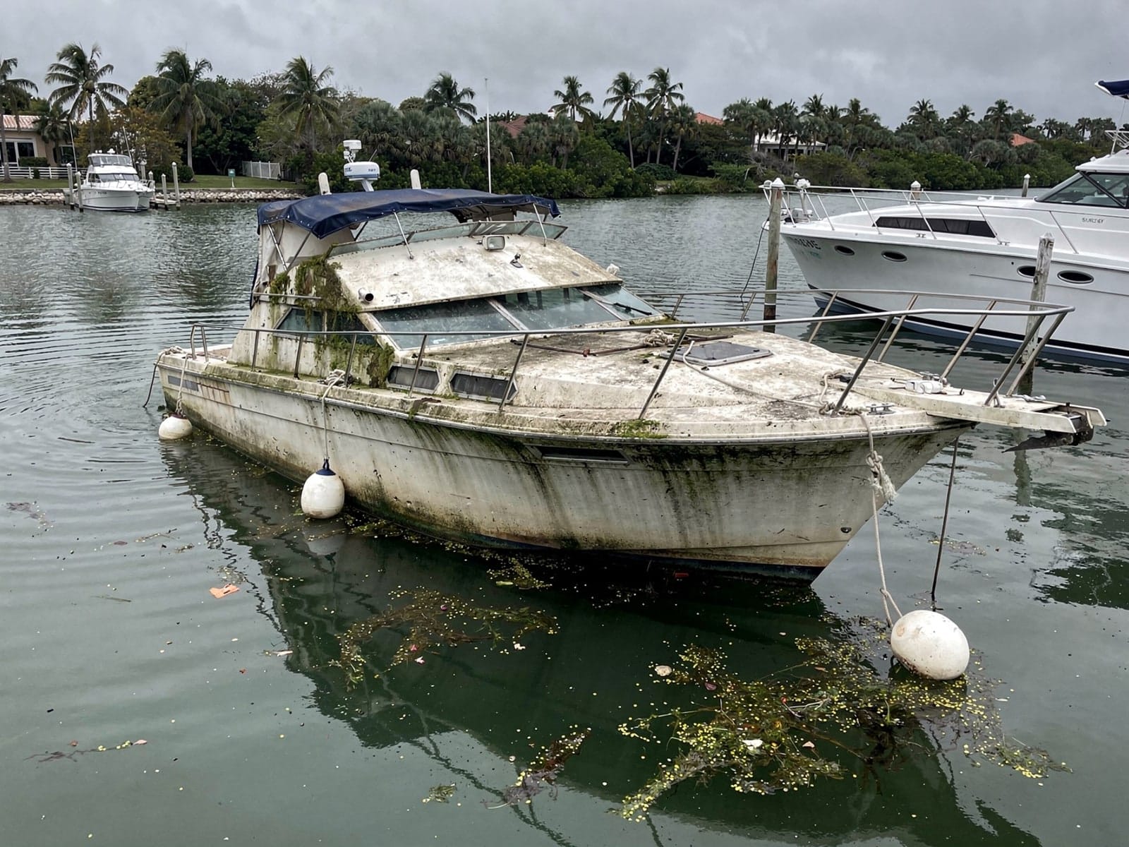 Sunken boat recovery in Fairview Shores, FL: before Sunken 34 ft Silverton 34 at its mooring in Fairview Shores, FL
