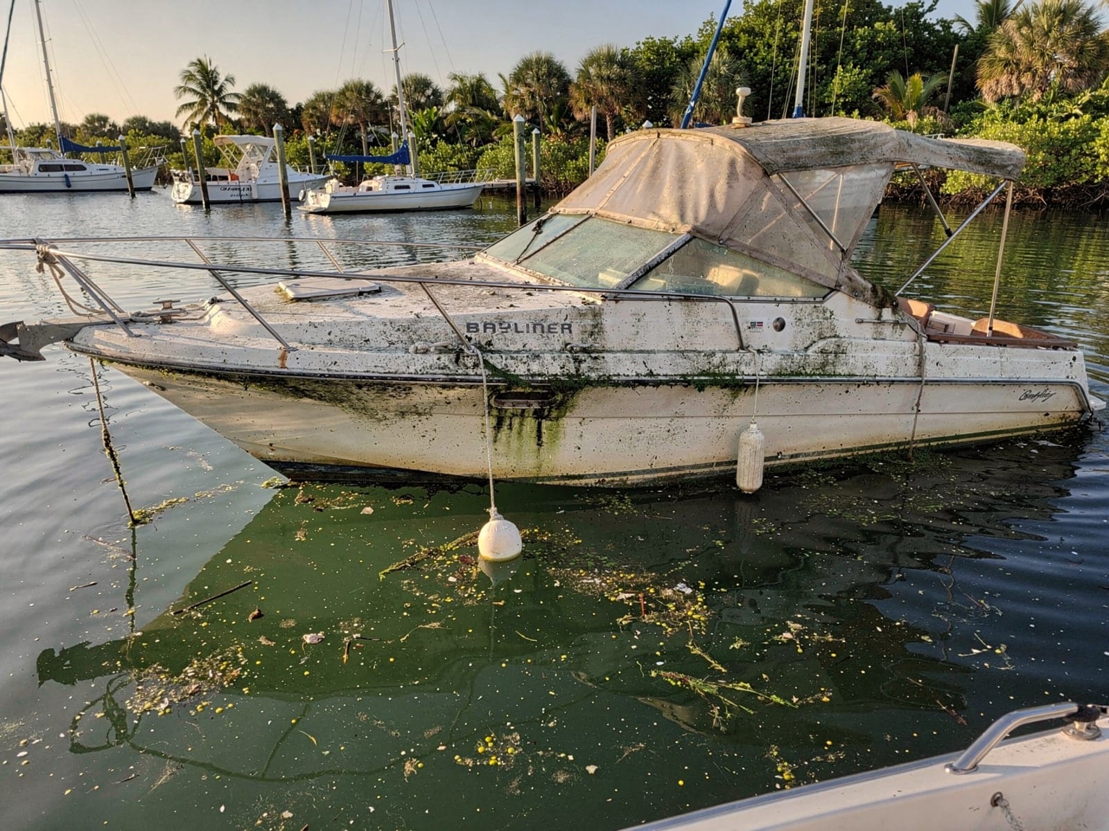 Sunken boat recovery in Ferry Pass, FL: before Sunken 24 ft Bayliner 2455 Ciera at its mooring in Ferry Pass, FL