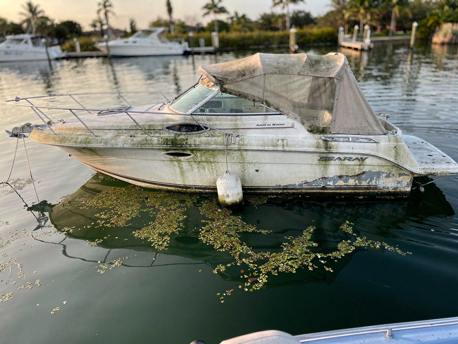 Sunken boat recovery in Fruit Cove, FL: before Sunken 26 ft Sea Ray 268 Sundancer at its mooring in Fruit Cove, FL