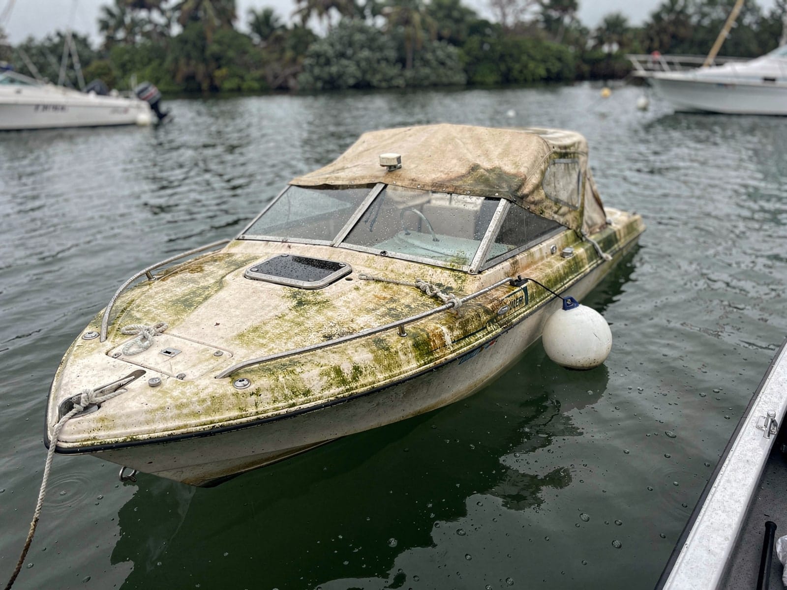 Sunken boat recovery in Groveland, FL: before Sunken 22 ft Larson 220 at its mooring in Groveland, FL