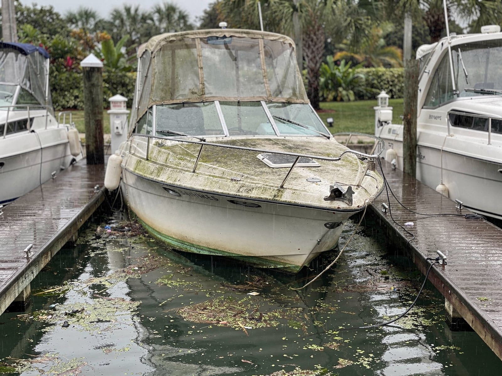 Sunken boat recovery in East Lake, FL: before Sunken 24 ft Bayliner 2455 Ciera in a marina slip in East Lake, FL