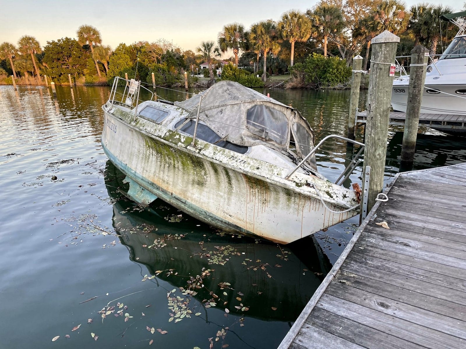 Sunken boat recovery in Lakewood Ranch, FL: before Sunken 25 ft O'Day 25 at a lake dock in Lakewood Ranch, FL