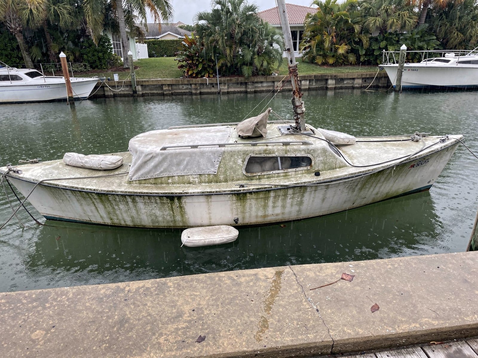 Sunken boat recovery in Palm Beach Gardens, FL: before Sunken 27 ft Cal 27 in a canal by the seawall in Palm Beach Gardens, FL