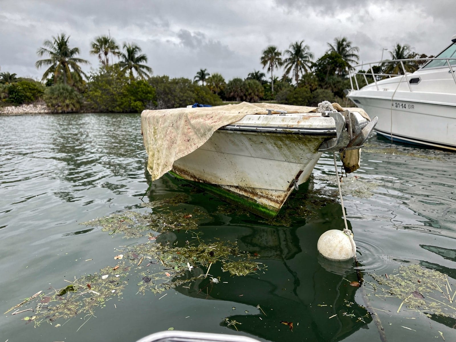 Sunken boat recovery in Hallandale Beach, FL: before Sunken 24 ft Bayliner 2455 Ciera at its mooring in Hallandale Beach, FL