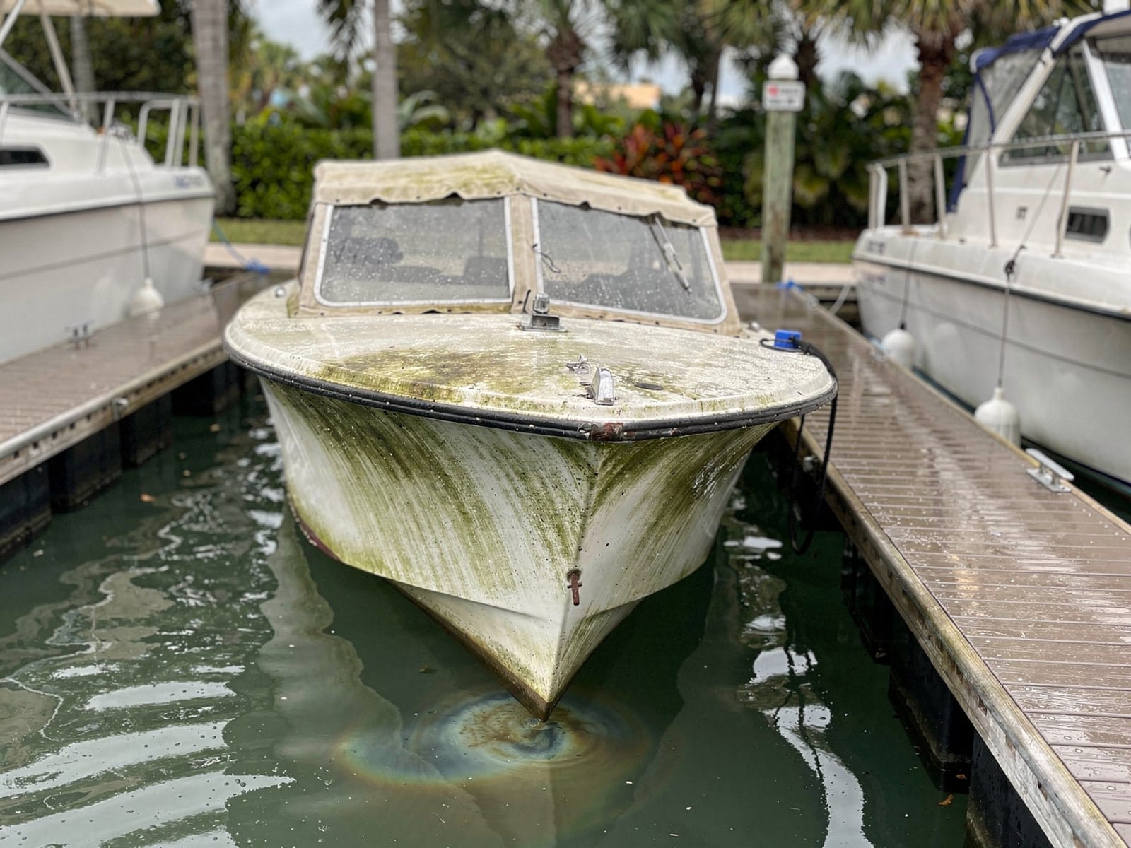 Sunken boat recovery in Jasmine Estates, FL: before Sunken 26 ft MacGregor 26 in a marina slip in Jasmine Estates, FL