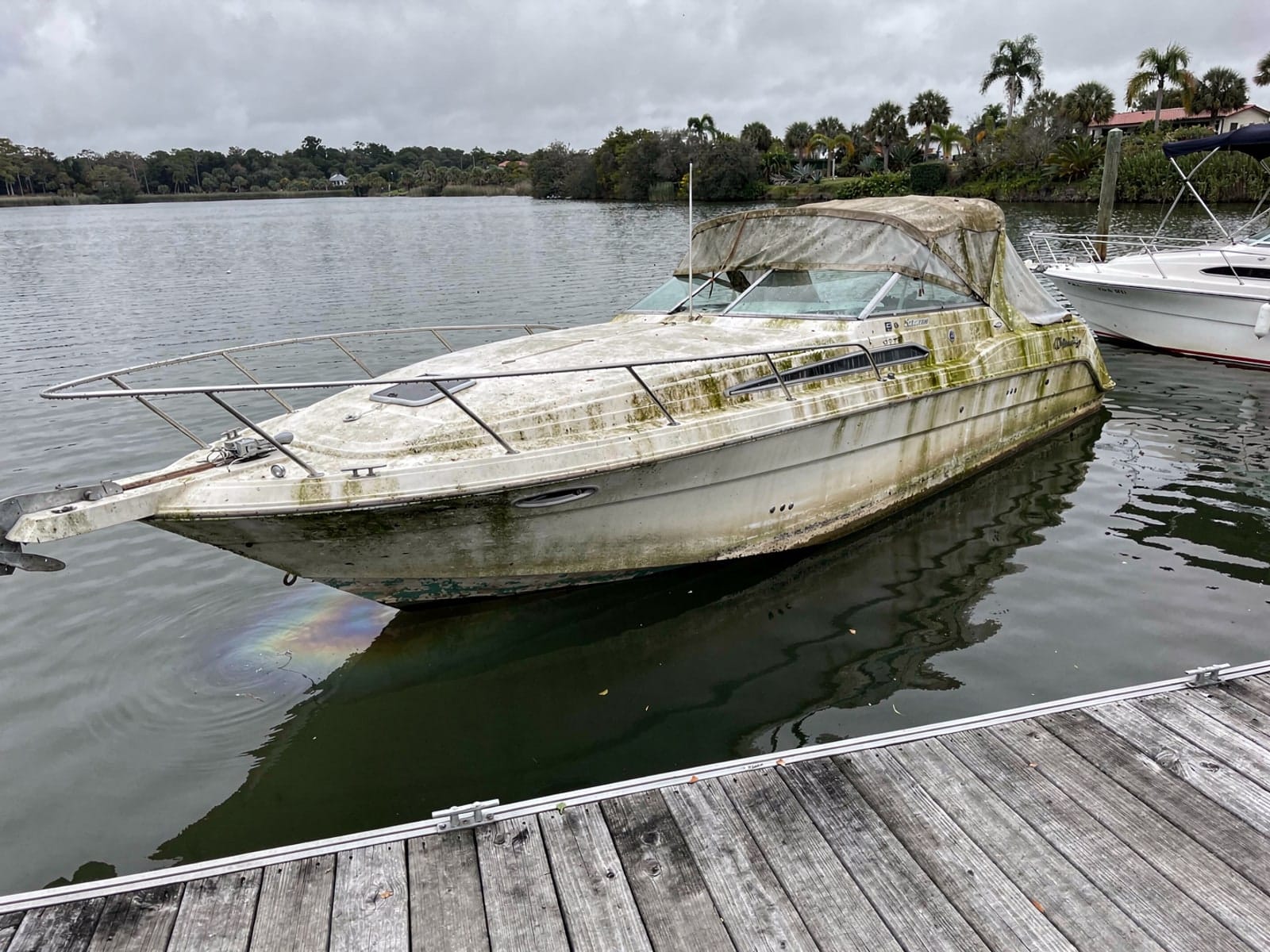 Sunken boat recovery in Lakeland, FL: before Sunken 26 ft Sea Ray 268 Sundancer at a lake dock in Lakeland, FL