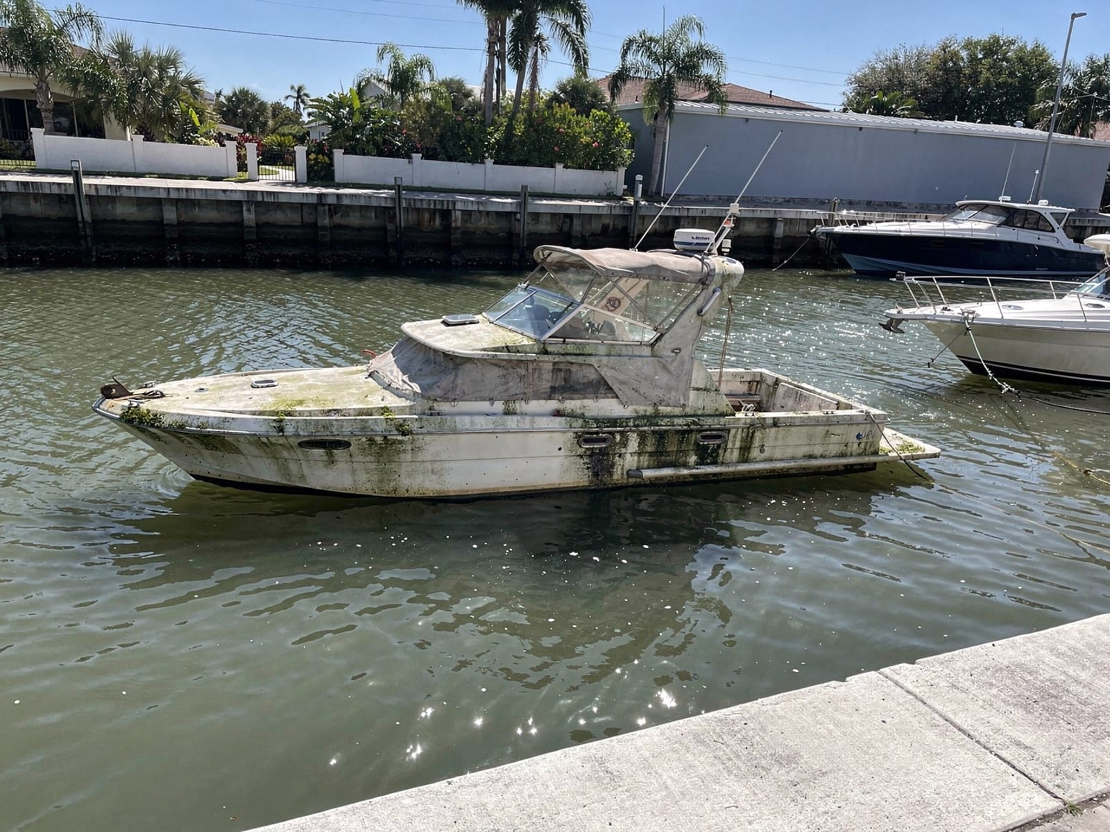 Sunken boat recovery in Land O Lakes, FL: before Sunken 34 ft Silverton 34 in a canal by the seawall in Land O Lakes, FL