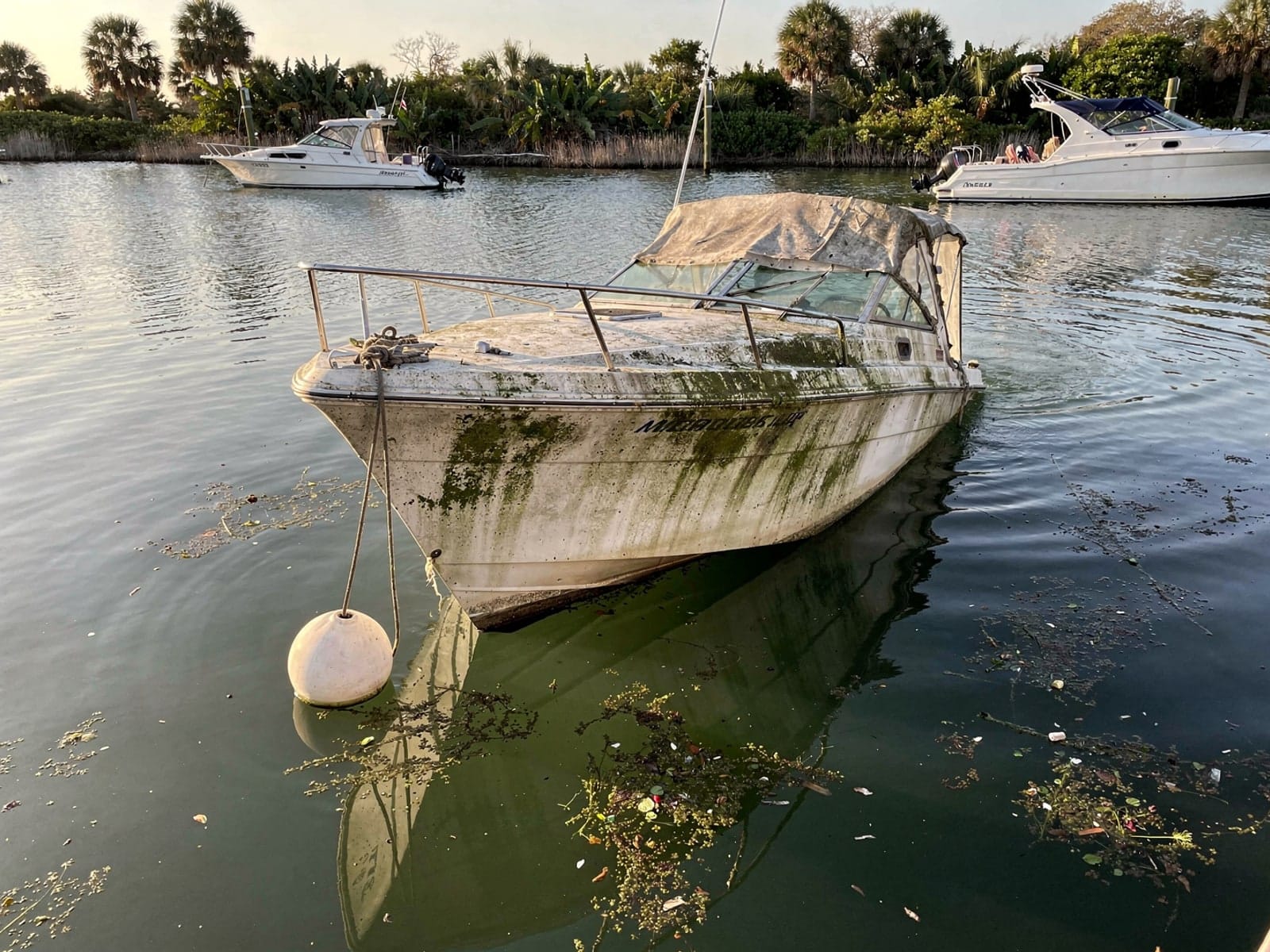 Sunken 24 ft Maxum 2400 SCR at its mooring in Westchester, FL