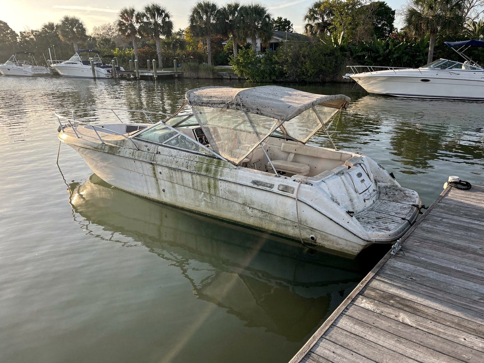 Sunken boat recovery in Meadow Woods, FL: before Sunken 24 ft Formula 242 at a lake dock in Meadow Woods, FL