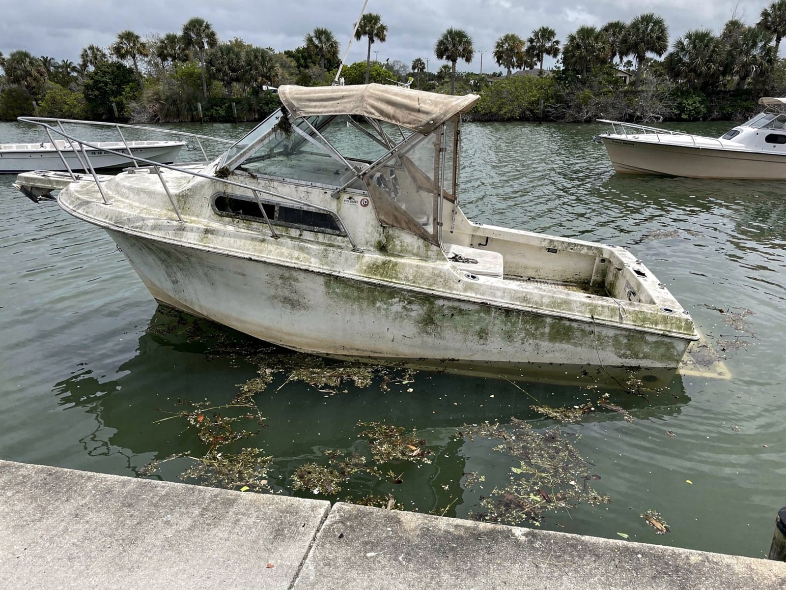 Sunken boat recovery in Merritt Island, FL: before Sunken 28 ft Bertram 28 by a boat ramp in Merritt Island, FL