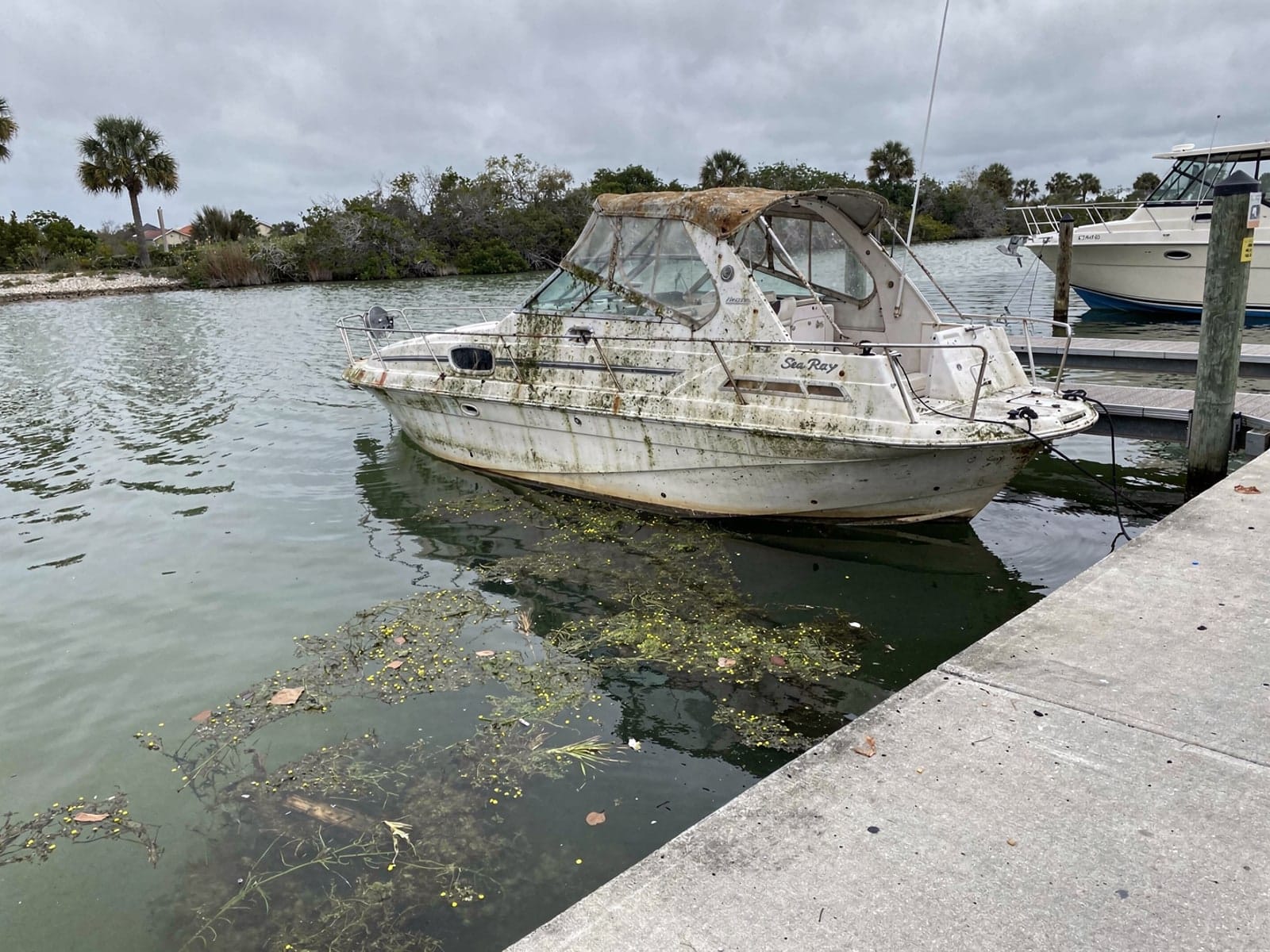 Sunken boat recovery in Miramar, FL: before Sunken 26 ft Sea Ray 268 Sundancer by a boat ramp in Miramar, FL
