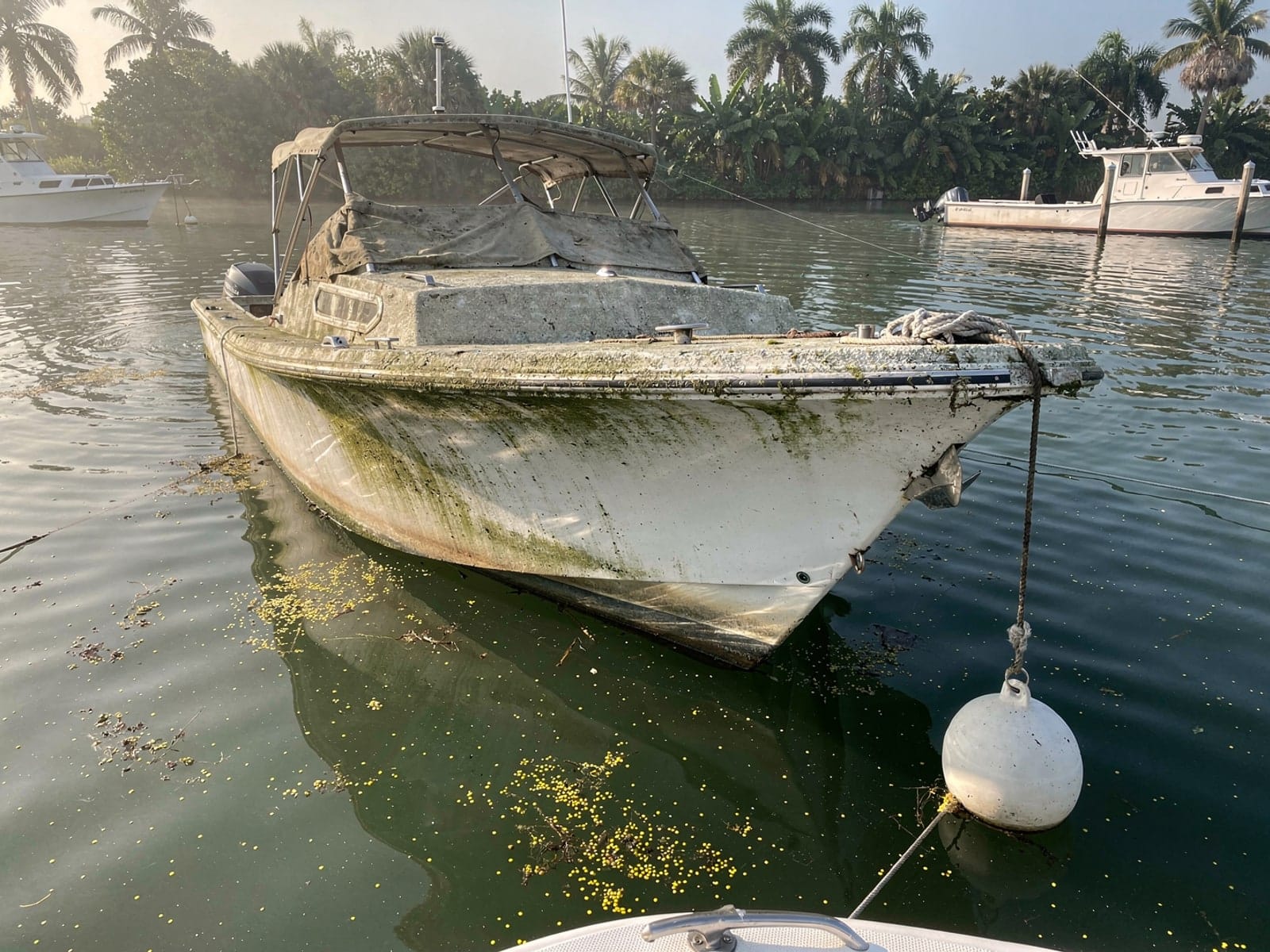 Sunken boat recovery in Oviedo, FL: before Sunken 28 ft Bertram 28 at its mooring in Oviedo, FL