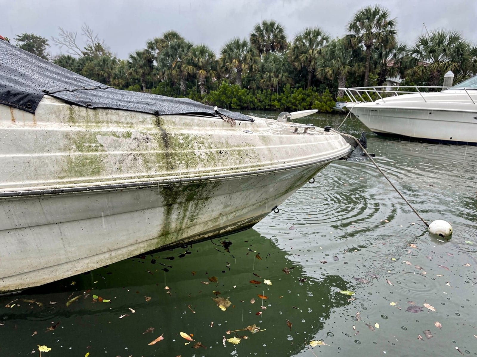 Sunken boat recovery in Palm Harbor, FL: before Sunken 24 ft Formula 242 at its mooring in Palm Harbor, FL