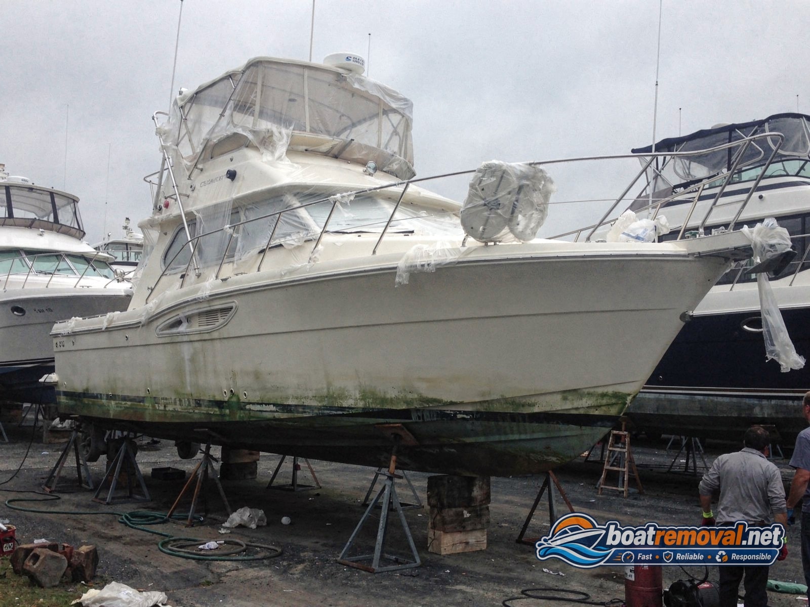 Renken 180 removal Murfreesboro TN