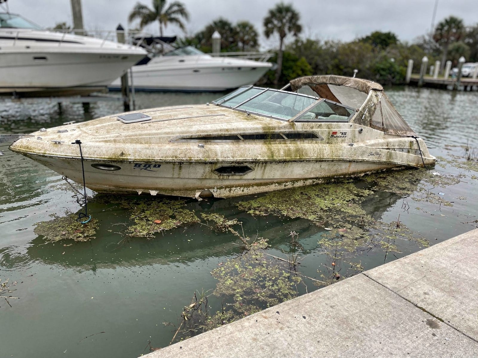 Sunken boat recovery in Port St John, FL: before Sunken 26 ft Sea Ray 268 Sundancer by a boat ramp in Port St John, FL