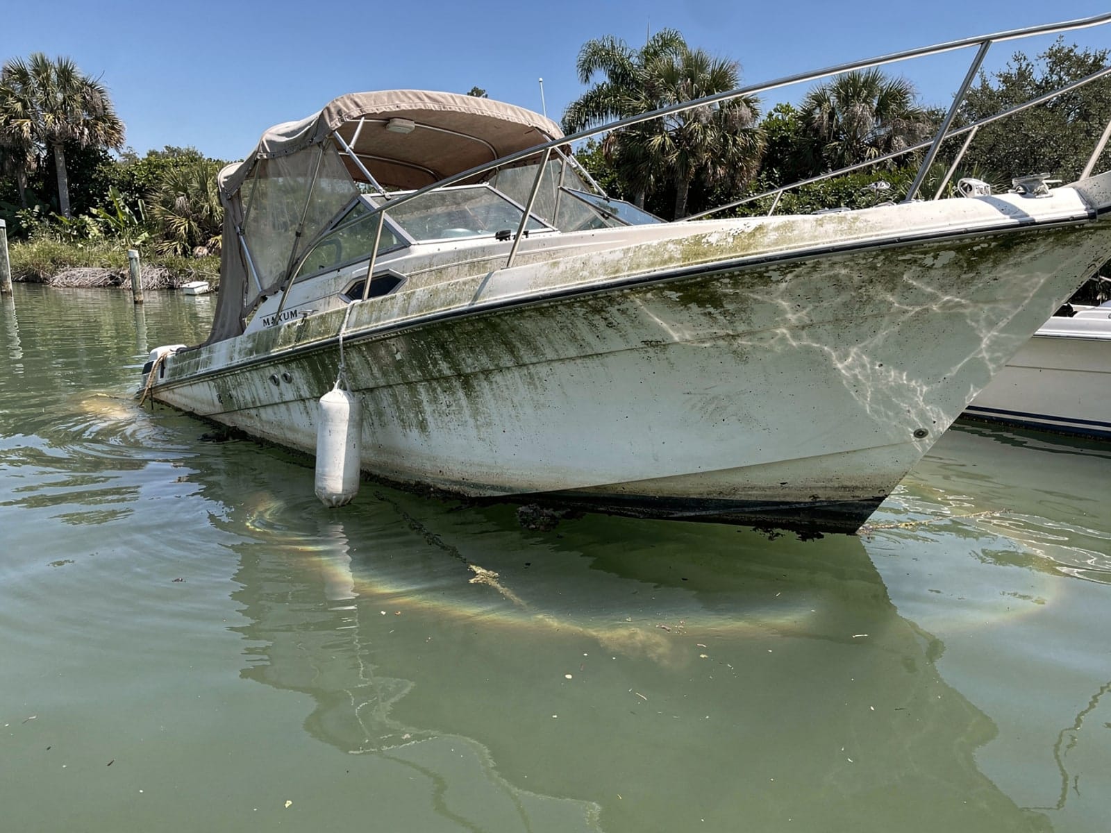 Sunken boat recovery in Safety Harbor, FL: before Sunken 24 ft Maxum 2400 SCR at its mooring in Safety Harbor, FL