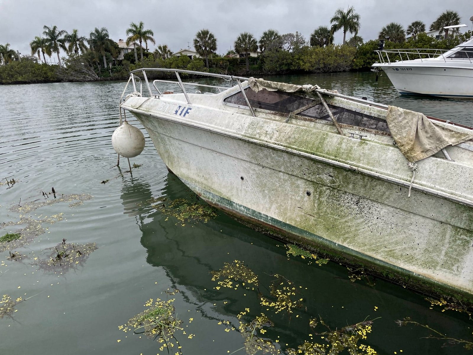 Sunken boat recovery in Ives Estates, FL: before Sunken 24 ft Bayliner 2455 Ciera at its mooring in Ives Estates, FL