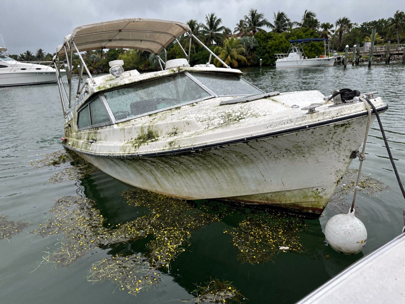 Sunken boat recovery in Milton, FL: before Sunken 28 ft Carver 28 at its mooring in Milton, FL