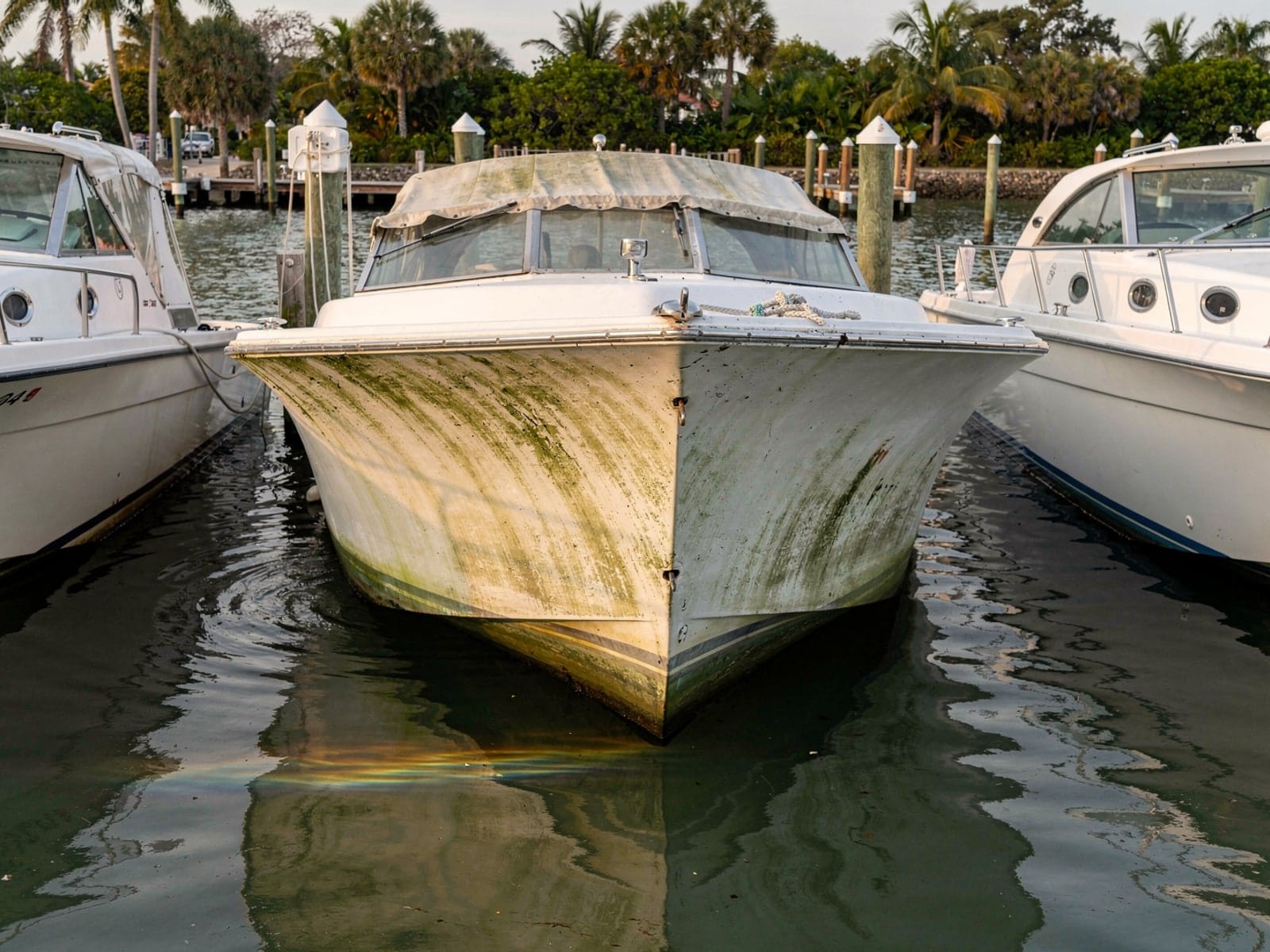 Sunken boat recovery in St Petersburg, FL: before Sunken 23 ft Chris-Craft Cavalier in a marina slip in St Petersburg, FL