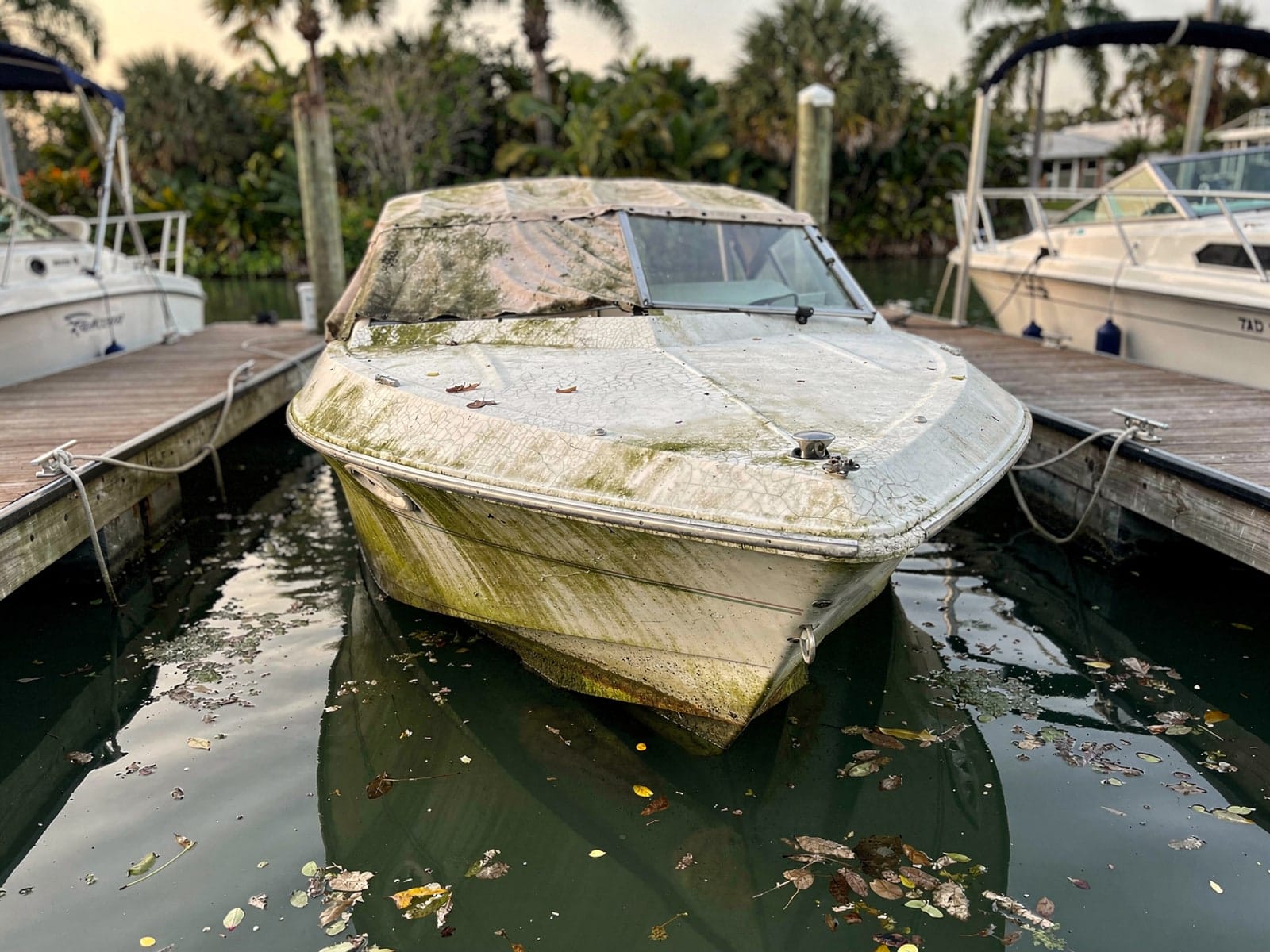 Sunken boat recovery in Tarpon Springs, FL: before Sunken 23 ft Rinker 232 in a marina slip in Tarpon Springs, FL