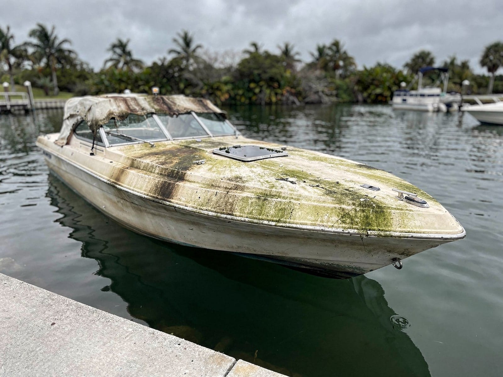 Sunken boat recovery in Tallahassee, FL: before Sunken 22 ft Larson 220 by a boat ramp in Tallahassee, FL