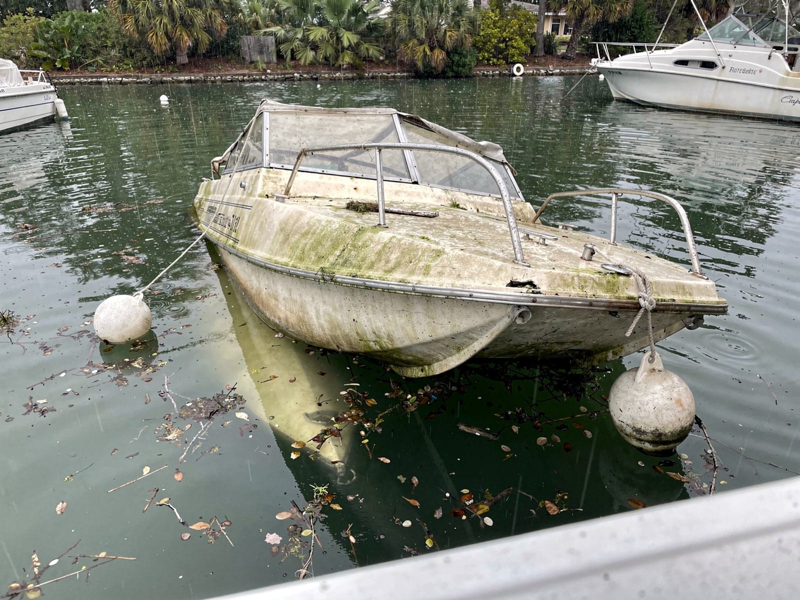 Sunken boat recovery in Fish Hawk, FL: before Sunken 24 ft Harris FloteBote 24 at its mooring in Fish Hawk, FL