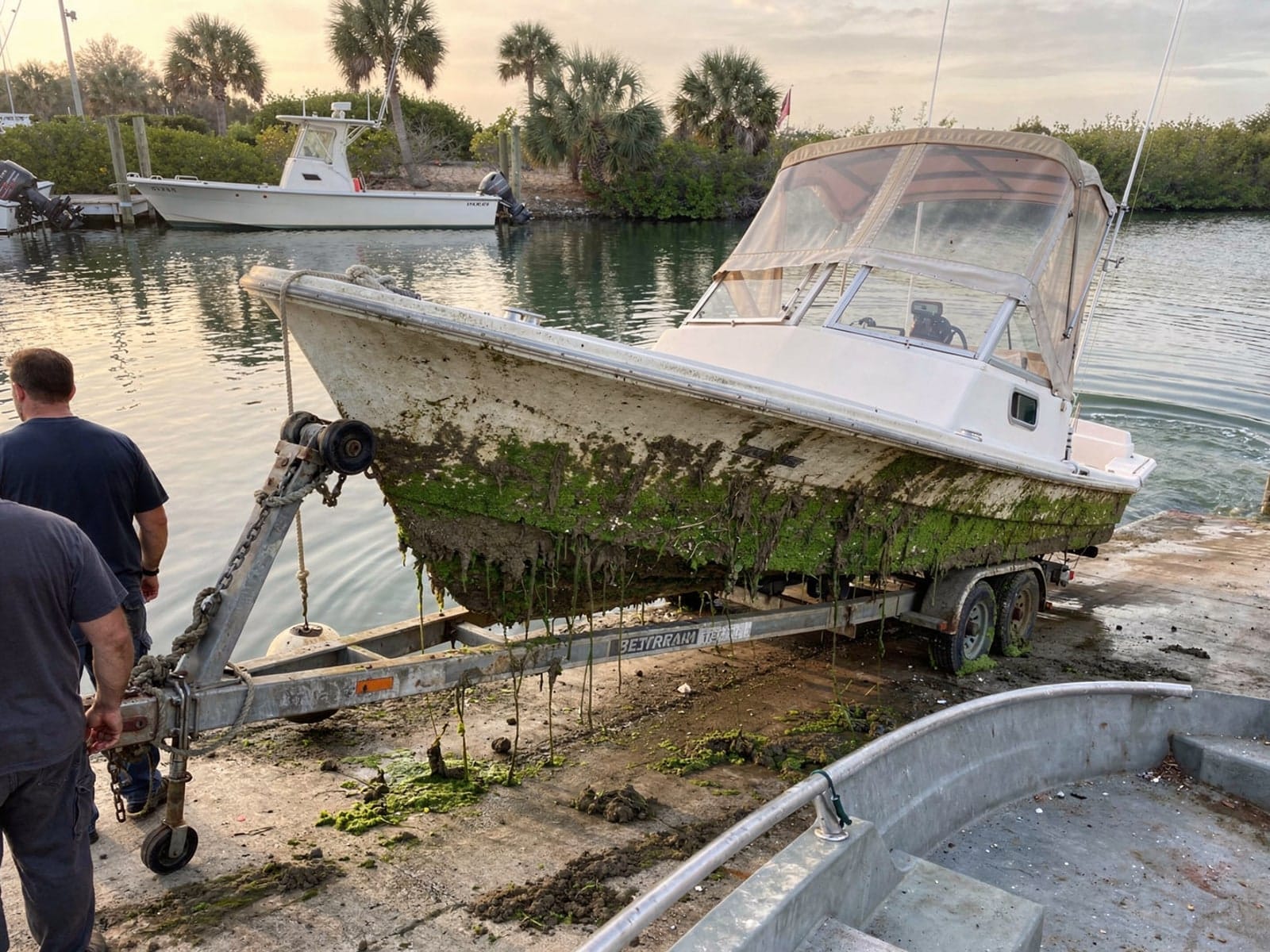 Sunken boat recovery in Lake Magdalene, FL: pulled out at the ramp 28 ft Bertram 28 pulled out on a trailer at a Lake Magdalene, FL boat ramp