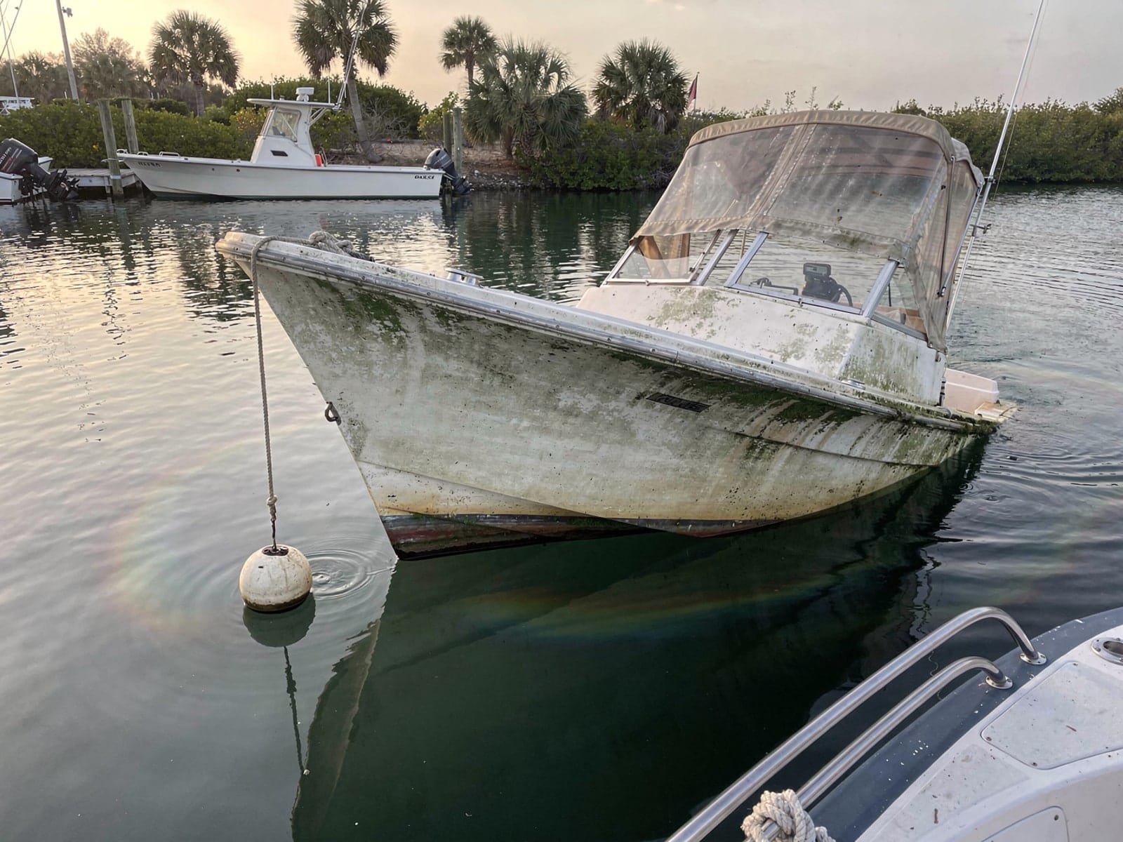 Sunken boat recovery in Lake Magdalene, FL: before Sunken 28 ft Bertram 28 at its mooring in Lake Magdalene, FL