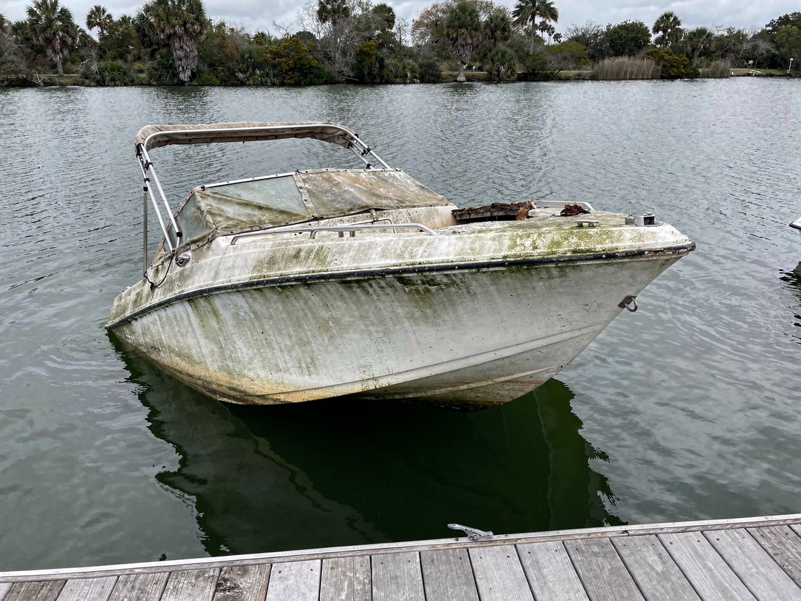 Sunken boat recovery in Lakeland Highlands, FL: before Sunken 24 ft Formula 242 at a lake dock in Lakeland Highlands, FL