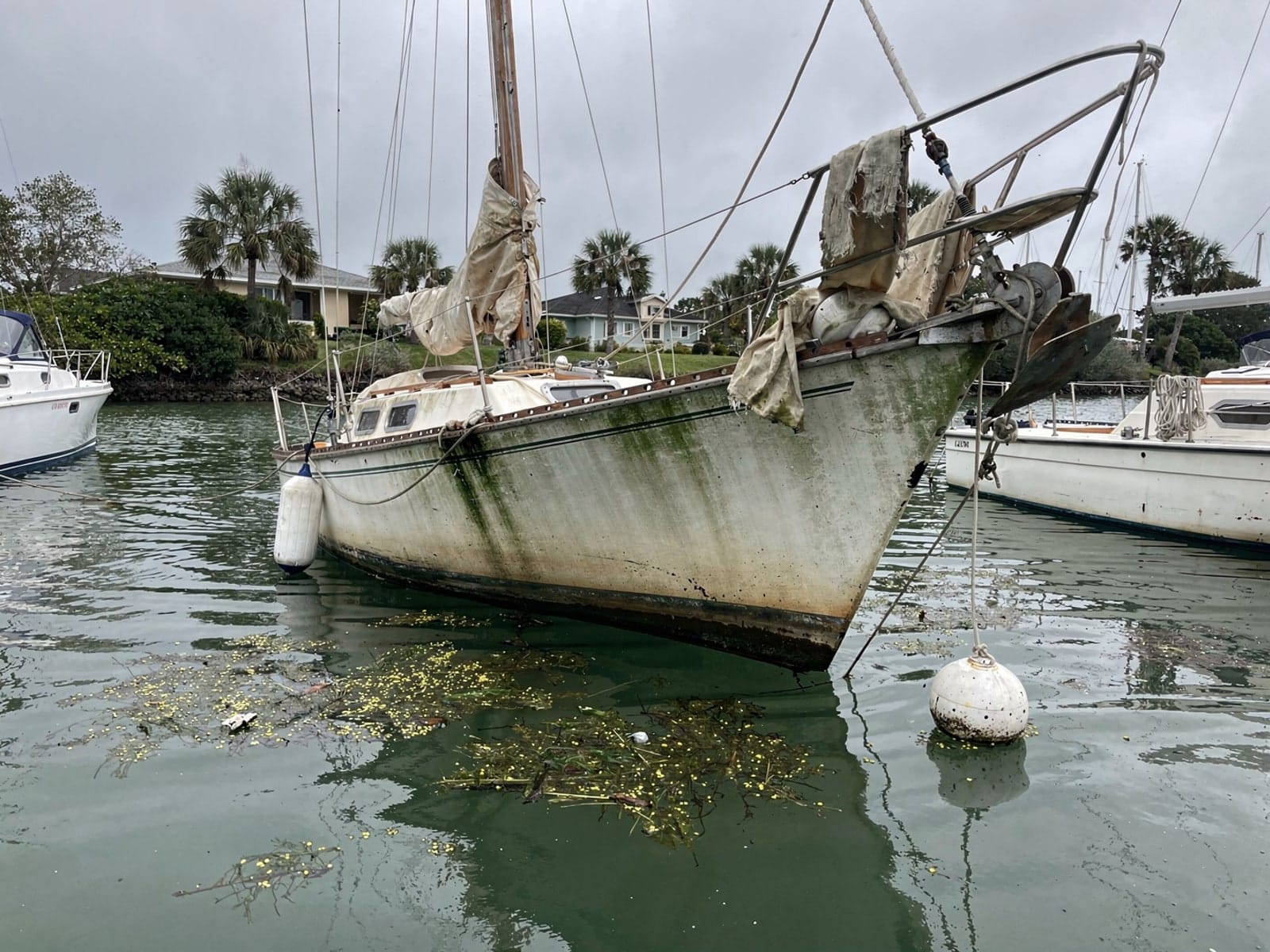 Sunken boat recovery in Cheval, FL: before Sunken 27 ft Catalina 27 at its mooring in Cheval, FL