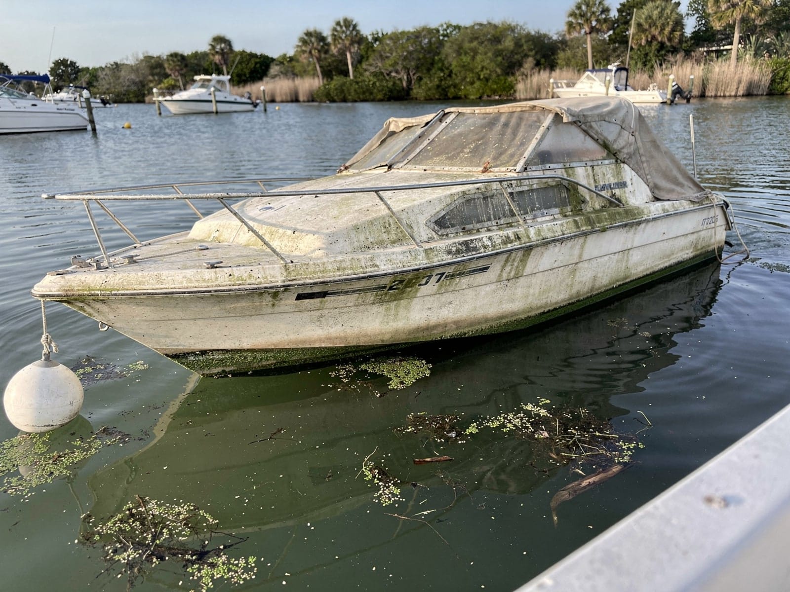 Sunken boat recovery in Cutler Bay, FL: before Sunken 24 ft Bayliner 2455 Ciera at its mooring in Cutler Bay, FL