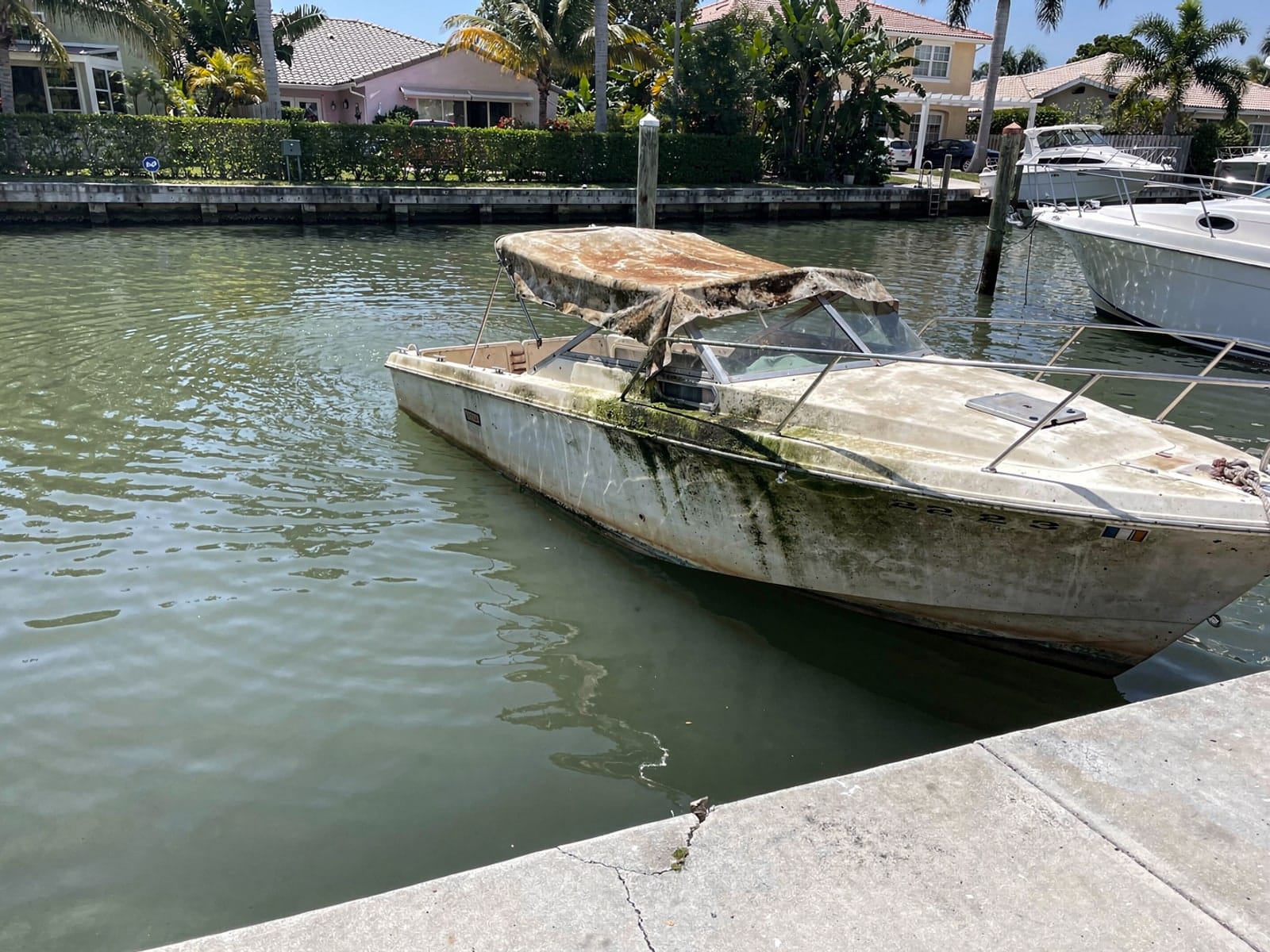 Sunken boat recovery in Homestead, FL: before Sunken 23 ft Chris-Craft Cavalier in a canal by the seawall in Homestead, FL
