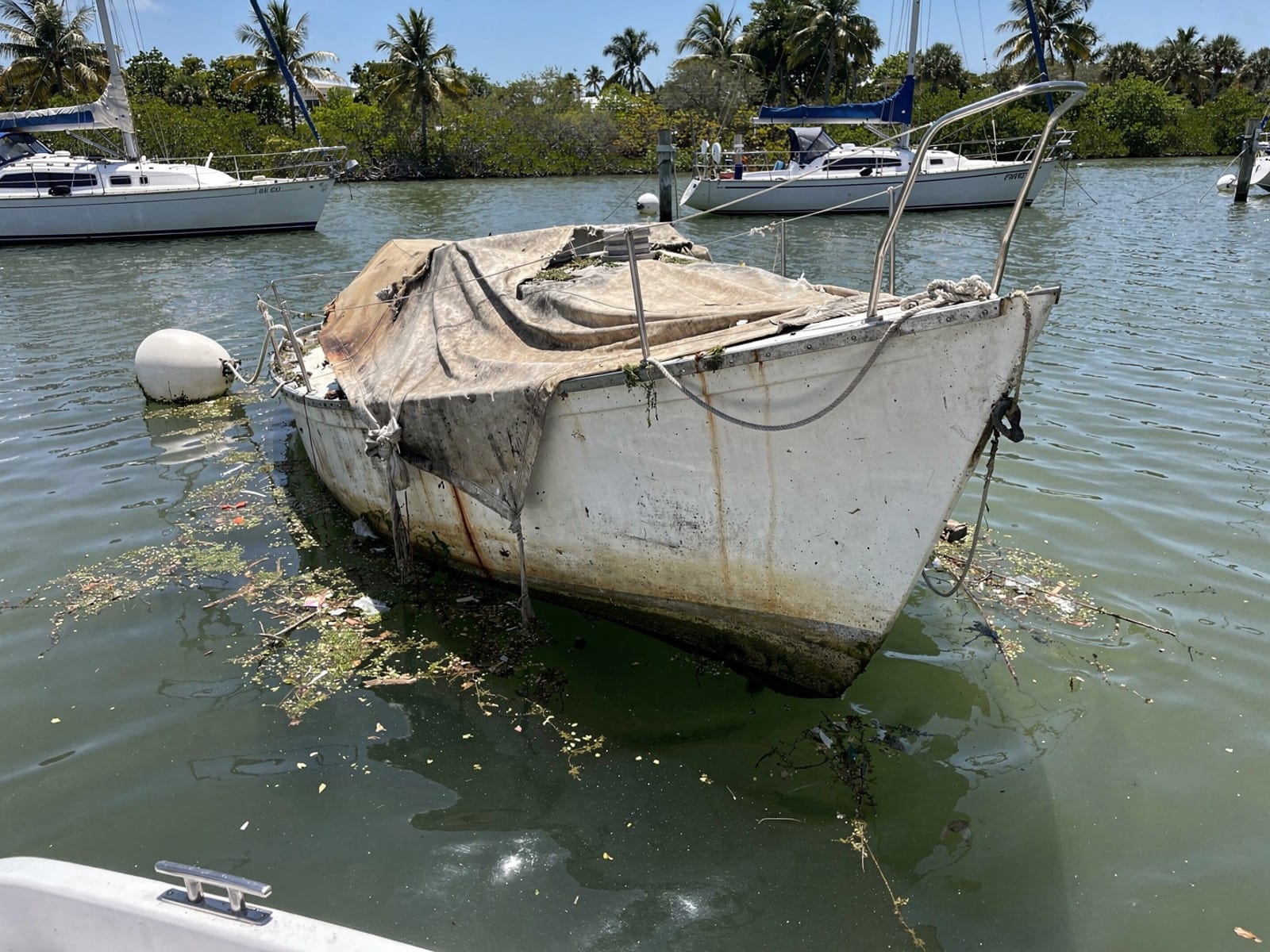 Sunken boat recovery in Jensen Beach, FL: before Sunken 25 ft O'Day 25 at its mooring in Jensen Beach, FL