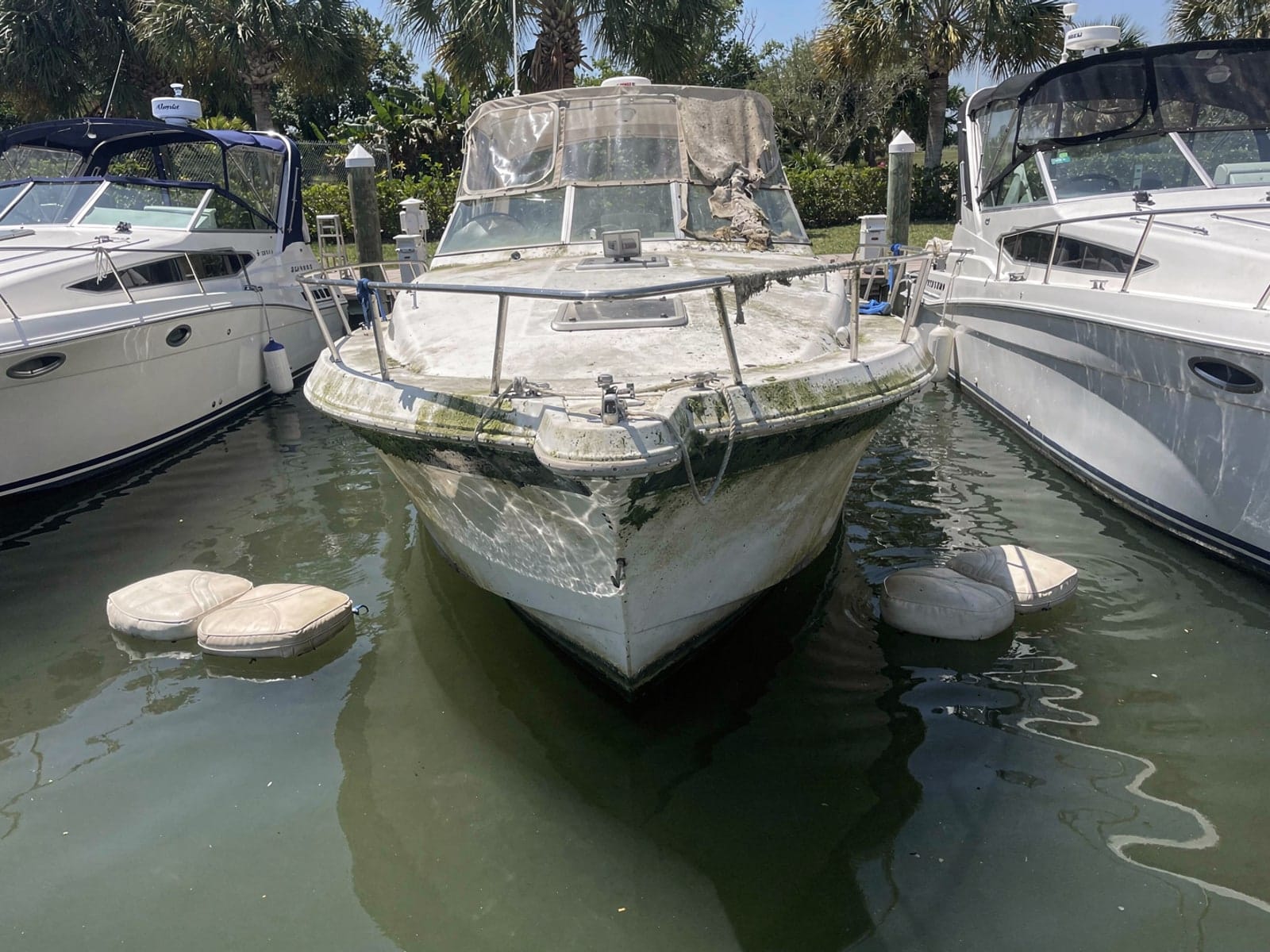 Sunken boat recovery in Sugarmill Woods, FL: before Sunken 24 ft Bayliner 2455 Ciera in a marina slip in Sugarmill Woods, FL