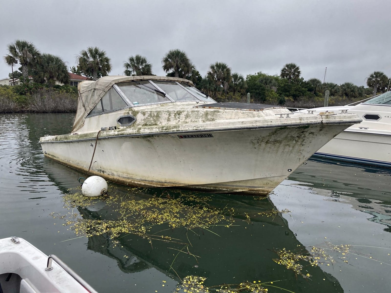 Sunken boat recovery in Temple Terrace, FL: before Sunken 28 ft Bertram 28 at its mooring in Temple Terrace, FL