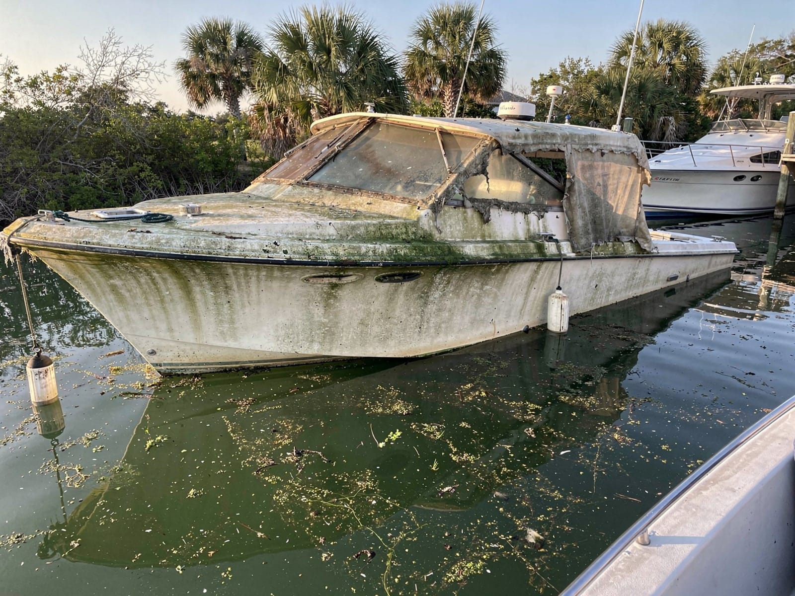 Sunken boat recovery in Bellview, FL: before Sunken 34 ft Silverton 34 at its mooring in Bellview, FL