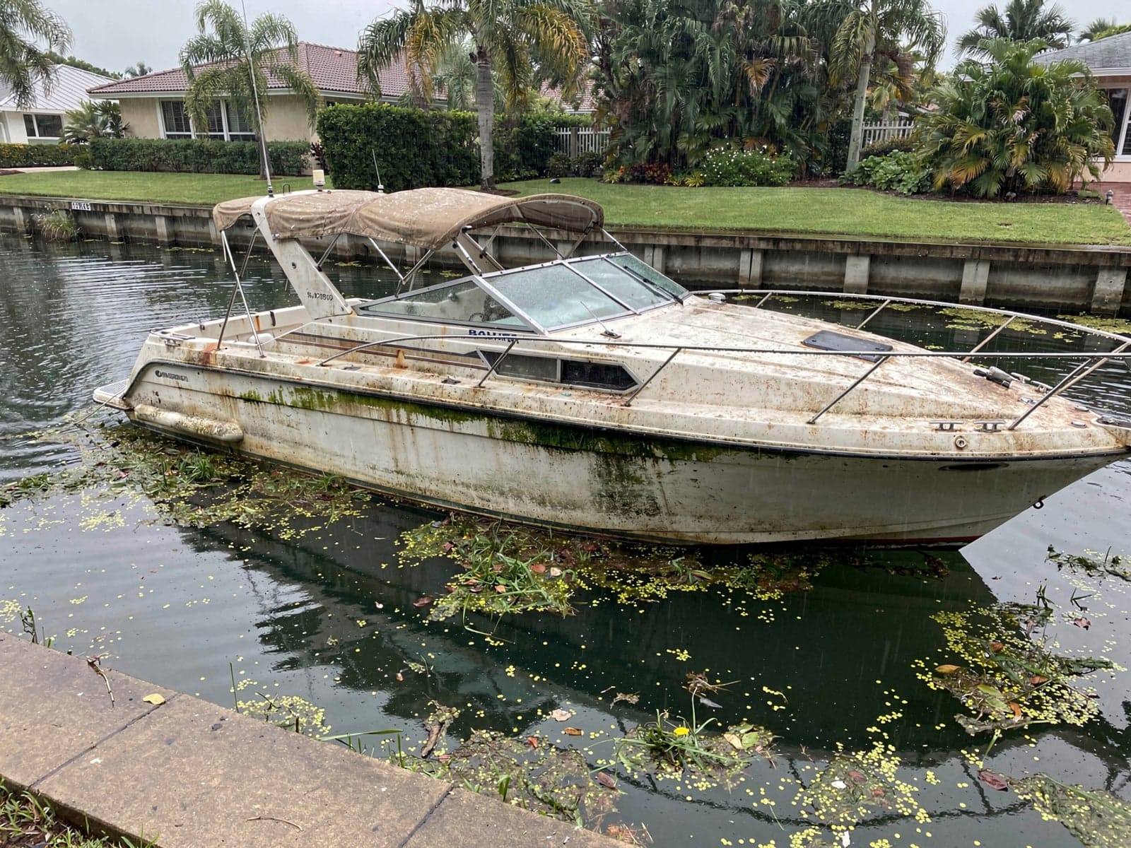 Sunken boat recovery in Venice, FL: before Sunken 24 ft Bayliner 2455 Ciera in a canal by the seawall in Venice, FL